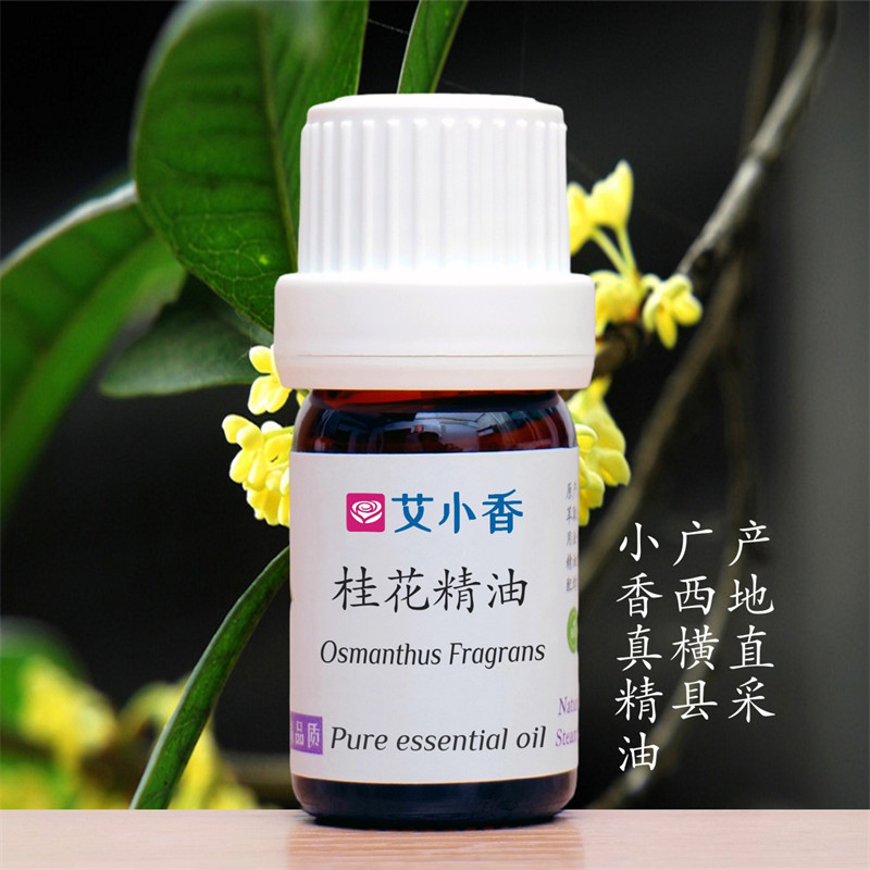 桂花精油金桂 馥郁桂香芬芳怡人东方香调 广西横县产地「不送精油」