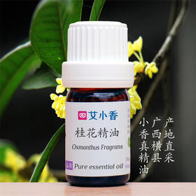 桂花精油金桂 馥郁桂香芬芳怡人东方香调 广西横县产地「不送精油」