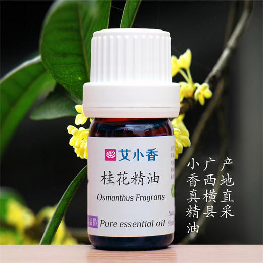 桂花精油金桂 馥郁桂香芬芳怡人东方香调 广西横县产地「不送精油」 商品图0