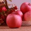 葫芦河静宁苹果12枚装 , 京东顺丰包邮 商品缩略图2