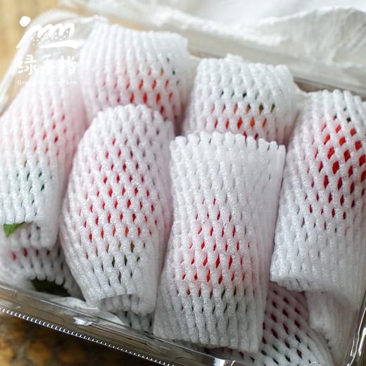 生态草莓（河南）  |合作生产 * Ecological strawberry | Coproduction 商品图3