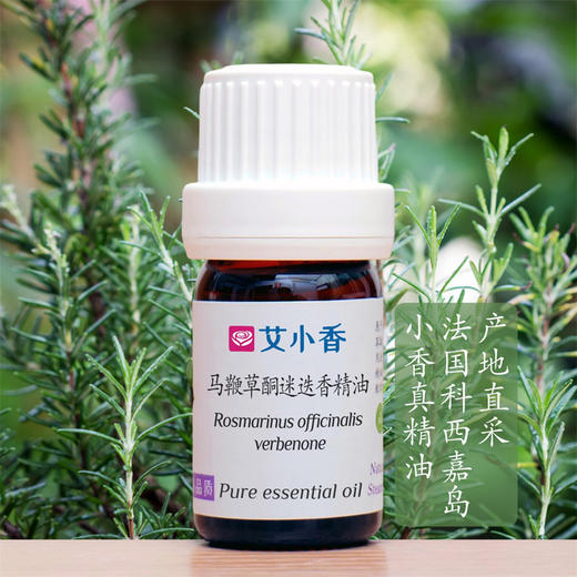 马鞭草酮迷迭香精油  法国科西嘉岛产地直采 活力提神净化清新气息香氛 商品图0