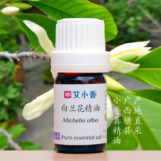 白兰花精油 白玉兰东方雅致香调幽幽芬芳舒情绪  广西横县产地 商品图0