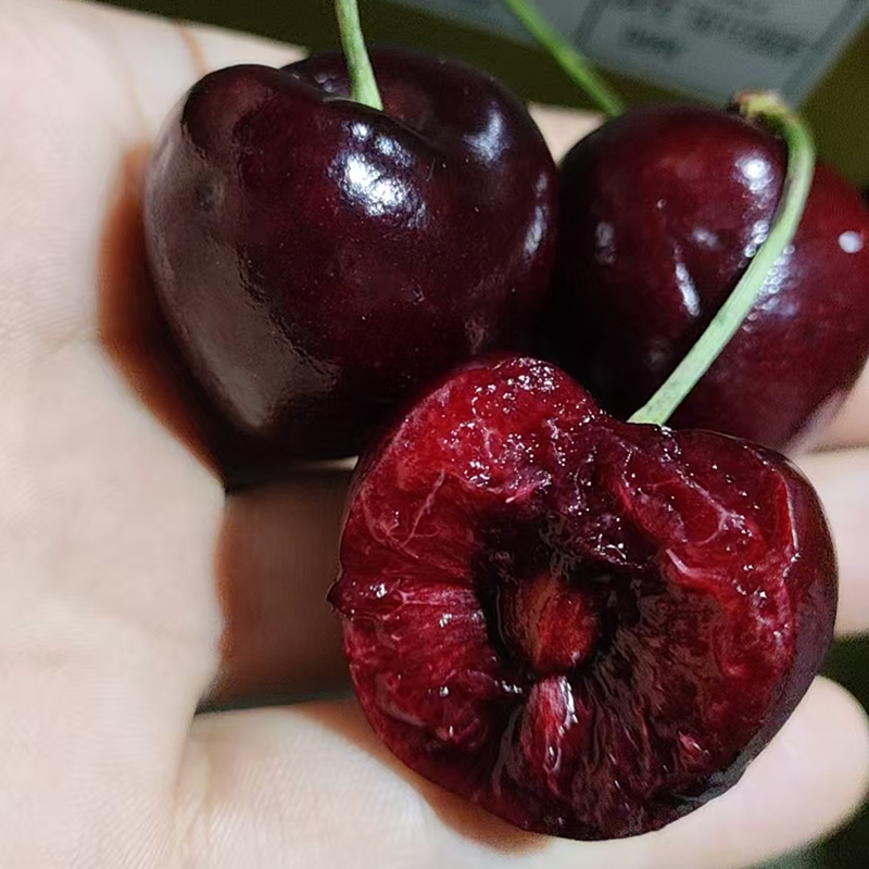 【限自提】12月20日提货小金盒2J桑提娜车厘子5斤