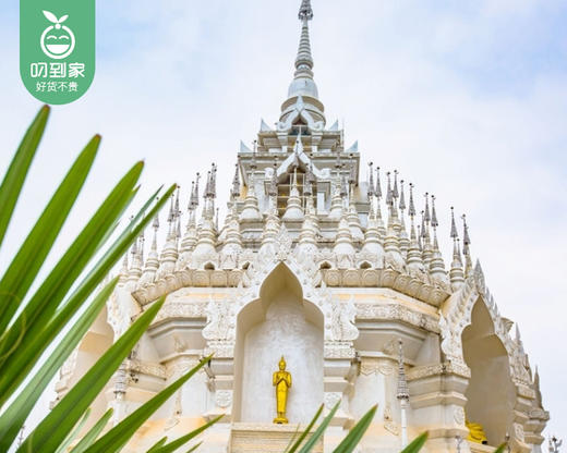 【厦门直飞版纳】6天5晚闽南自组15人纯玩小团云南版纳成人/1位【叼生活】 商品图1