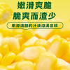 十月稻田 水果甜玉米 8根 3.52斤 真空开袋即食 低脂早餐 粗粮礼盒 /粮油调味 /杂粮 /谷米类 商品缩略图3