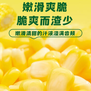 十月稻田 水果甜玉米 8根 3.52斤 真空开袋即食 低脂早餐 粗粮礼盒 /粮油调味 /杂粮 /谷米类 商品图3