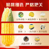 柴火大院 五常黄糯玉米 3.52斤(220g*8根) 杂粮礼盒 低脂粗粮 早餐 东北 /粮油调味 /杂粮 /谷米类 商品缩略图3