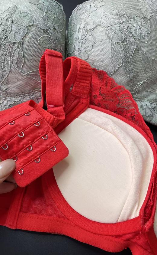 限时特惠99元迪兰多调整内衣蚕丝吸汗透气聚拢固定中厚杯2118162 商品图2