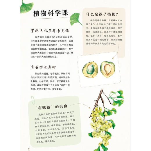 《和孩子一起认识中国植物》（全3册） 商品图13