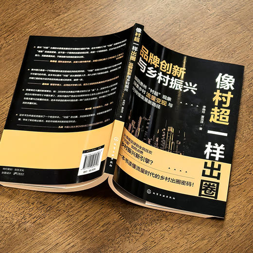 像村超一样出圈：品牌创新与乡村振兴 商品图3