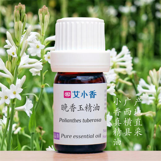晚香玉精油 尊贵高雅香氛 安抚身心芬芳 广西横县产地「不送精油」 商品图0