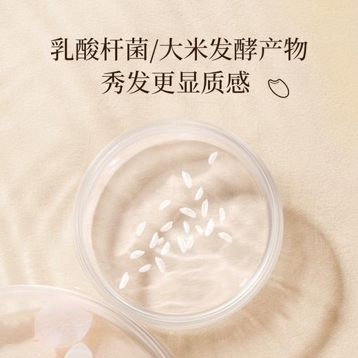 浅香     米酿氨基酸洗发乳(丰盈型）+浅香米酿氨基酸沐浴露套装500g+500g 商品图3
