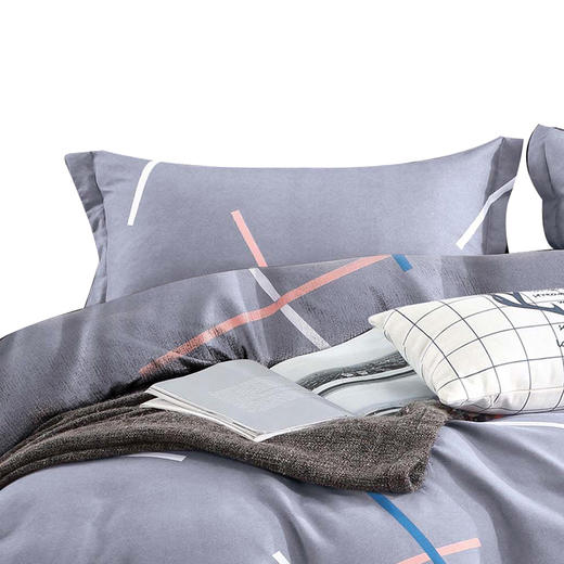 faunen芳恩 TH-Z1018长棉绒印花四件套 200×230cm 时尚漫步 商品图1