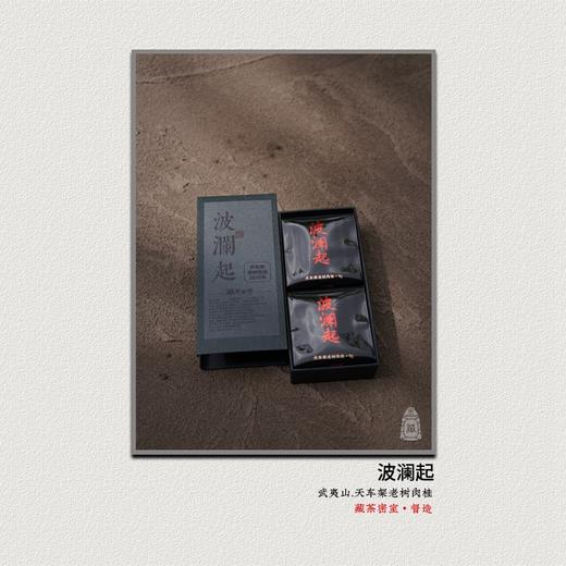 【波澜起】老树肉桂50年树龄武夷正岩中足火炭焙 藏茶密室[督造] 商品图1