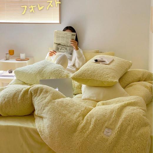 柔软体验感︱ins氛围加厚加密羊驼绒简约四件套冬保暖牛奶绒床品 商品图1