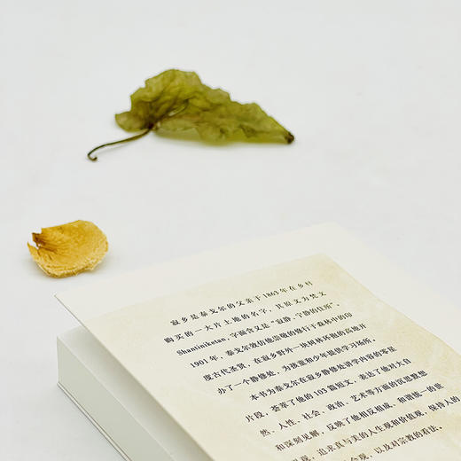 寂乡沉思录 商品图2