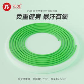 75派新品渐变负重钢丝绳支持75派全系列跳绳手柄直径4.5~7mm重量125克