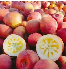 丽江宁蒗早熟红丝苹果8.5斤（带箱10斤）包邮到家