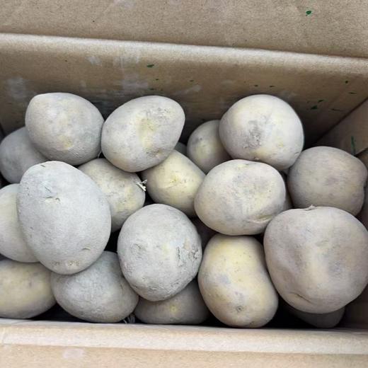³ 溯源 新鲜甘肃定西土豆 新鲜挖采 怎么吃都好吃 5斤装 XN03-CRMM-YQBB 商品图2