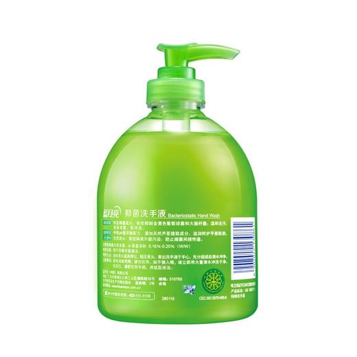 蓝月亮500g芦荟洗手液 商品图1
