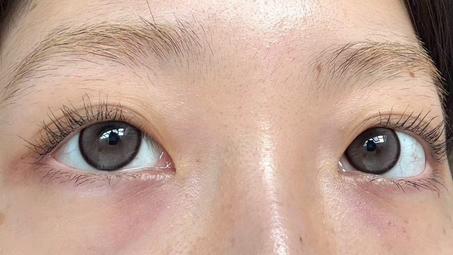 liliyacon半年抛美瞳 水泥珍珠 14.2mm