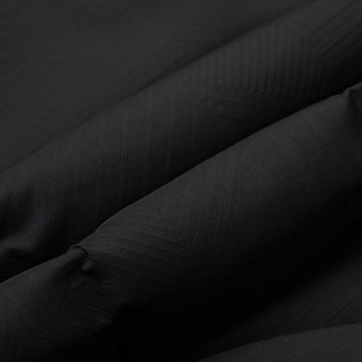 【门店同款&鸭绒】圣得西2025年冬季新款男士连帽羽绒服蓬松外套 商品图8