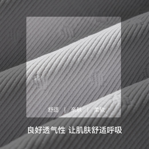 【满4条/7.5折】（中版）【秀黛】女轻塑提臀高腰平角裤女士内裤【1条】W5333004T【门店同款】【内裤非质量问题不退换】 商品图3