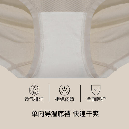 【满4条/7.5折】（中版）【秀黛】女时尚无缝平角裤女士内裤【1条】W5333005T【门店同款】【内裤非质量问题不退换】 商品图2