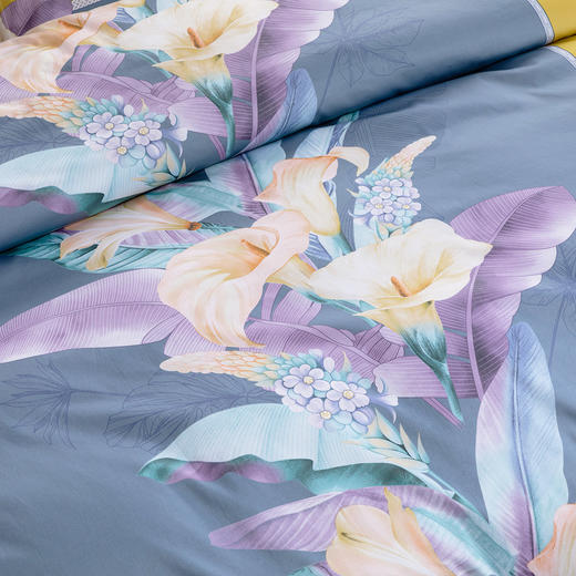 水星家纺全棉长绒棉60s抗菌印花四件套DH 芋见天南星 1.5米床 124800 商品图2