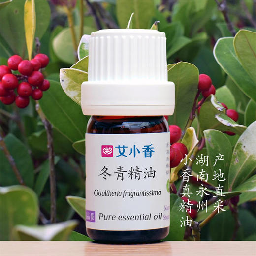 冬青精油芳香白珠 清凉香气 提神醒脑香调 湖南永州产地 商品图0