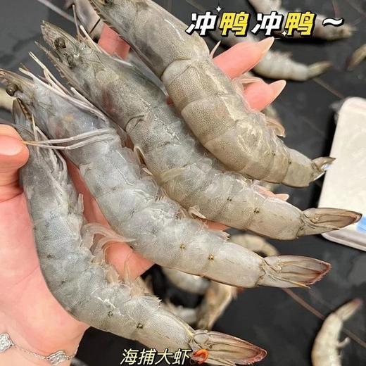 【顺丰包邮】南海大虾南海纯净海域海捕野生大虾 活虾单只速冻 从捕捞到装箱不超过6小时 去冰去盒净重3斤 性价比直接拉满 顺丰基地直邮 商品图0