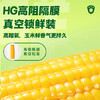 十月稻田 水果甜玉米 8根 3.52斤 真空开袋即食 低脂早餐 粗粮礼盒 /粮油调味 /杂粮 /谷米类 商品缩略图1
