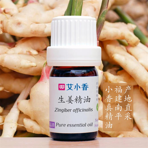 生姜精油 温暖香气 提振精神 辛香活力 福建产地 商品图0