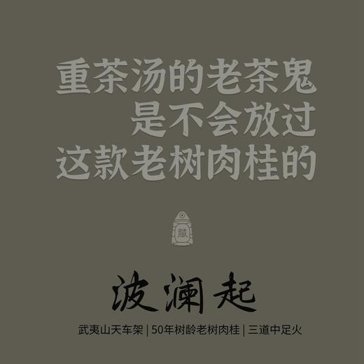 【波澜起】老树肉桂50年树龄武夷正岩中足火炭焙 藏茶密室[督造] 商品图0