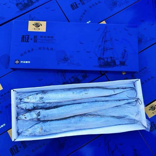 小蓝箱钓带鱼 商品图1