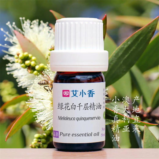 绿花白千层精油 澳洲产地直采 清晰提振森林香薰呼吸顺畅」 商品图0
