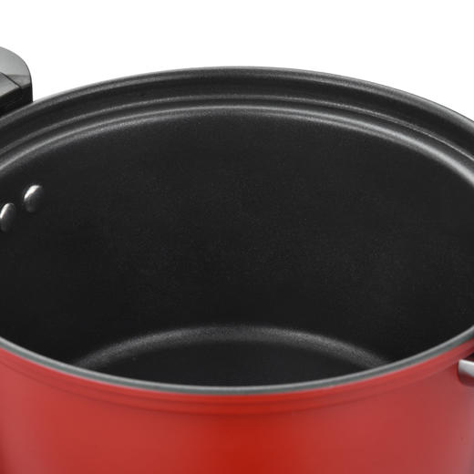 EFULLOT 伊弗勒 EFFE-V302纳瑞营养微压锅 22cm 商品图4