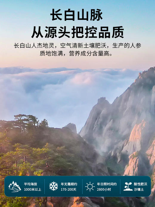 雷允上西洋参排片100g礼盒 商品图2