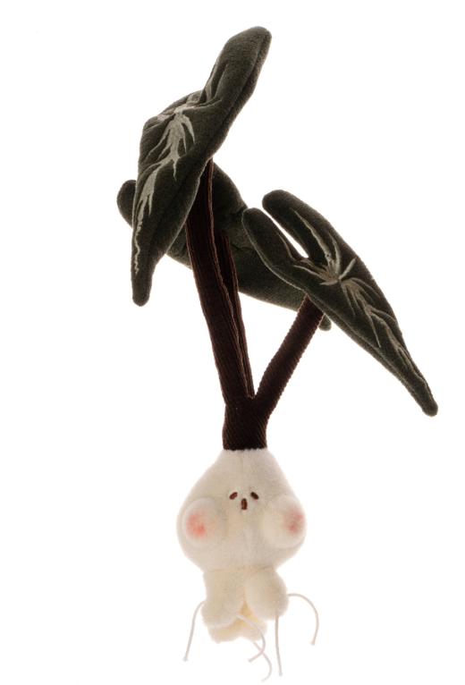 logaloga/B6008/大仙女海芋盆栽摆件 商品图5