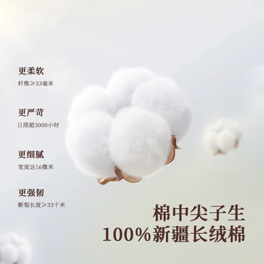 内野XS 云朵慕斯面巾Pro 商品图1