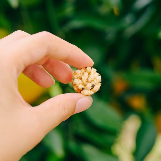 生态阿柑米花糖/小米酥（买赠优惠） | 合作生产 *Eco-papagan puffed rice  candy | Partner Production 商品图1