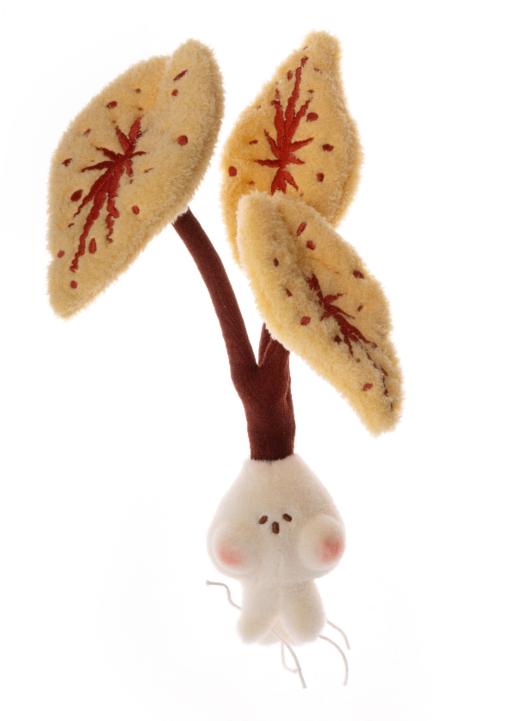 logaloga/B6010/五彩芋彩叶芋盆栽摆件 商品图5