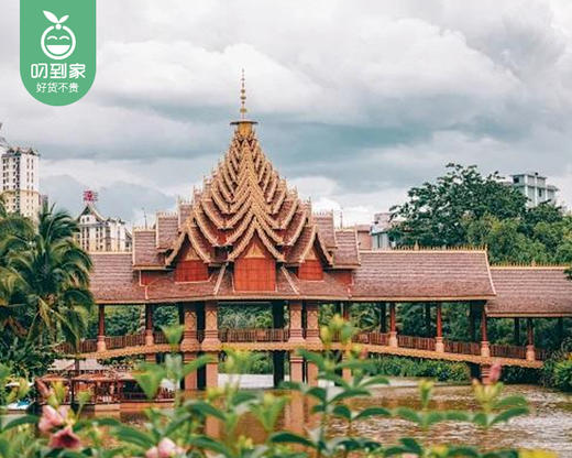 【厦门直飞版纳】6天5晚闽南自组15人纯玩小团云南版纳成人/1位【叼生活】 商品图3