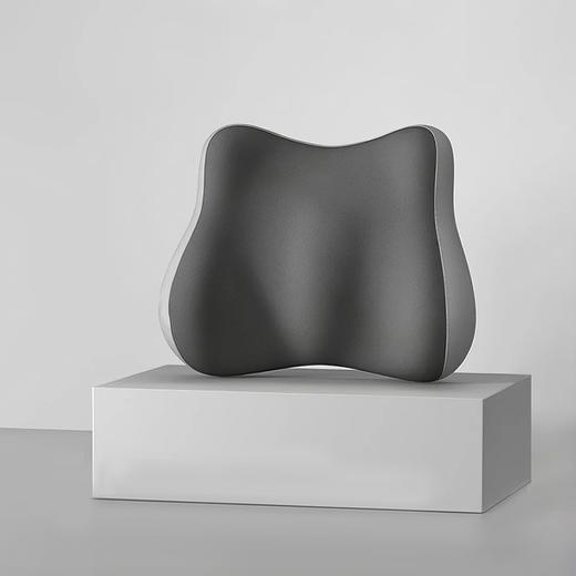 faunen芳恩 FN-R7035舒享记忆棉腰靠 商品图2