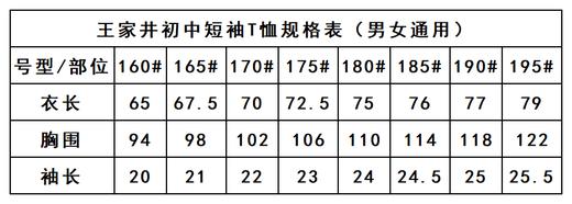 王家井初中——短袖T恤 商品图2