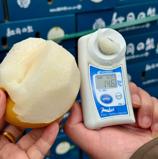 正宗冰糖秋月梨 商品图3