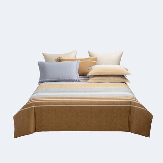 【春上新】10楼堂皇  全棉磨毛印花四件套--凯纳  吊牌价1690元  活动价299-399元 商品图0