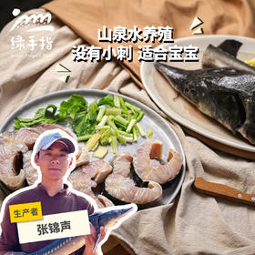生态鲟龙鱼（切块）| 绿家自产* Eco- Sturgeon dragon fish (cut into pieces) | Self-production