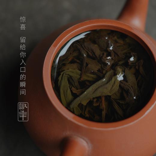 识年•陈年奇兰 2007武夷正味老岩茶名枞专仓藏养 藏茶密室•宝之 商品图2